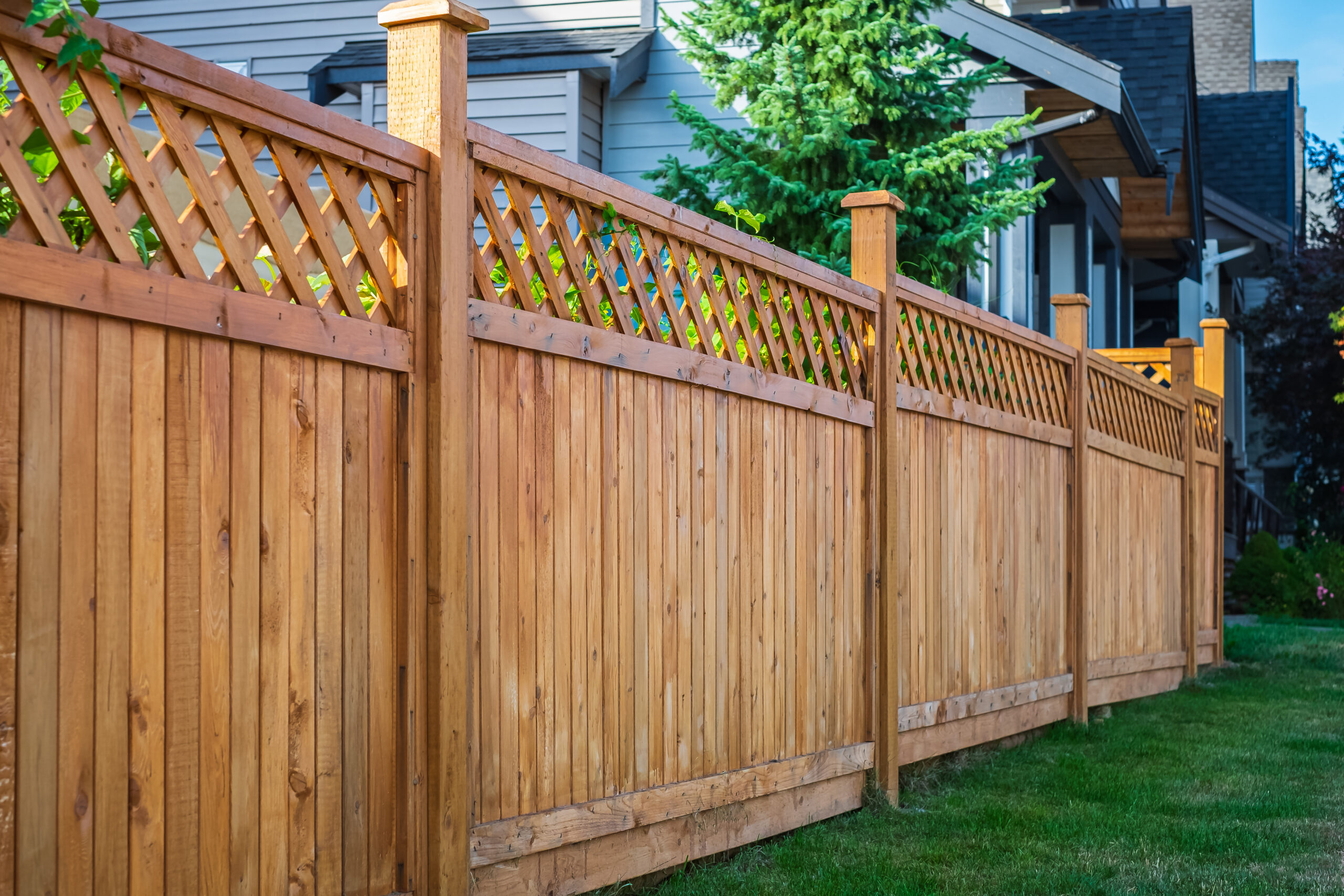 A wooden privacy fence with lattice panels on top runs alongside a grassy lawn, showcasing thoughtful garden design in front of a house, with a small tree and neighboring homes visible in the background.